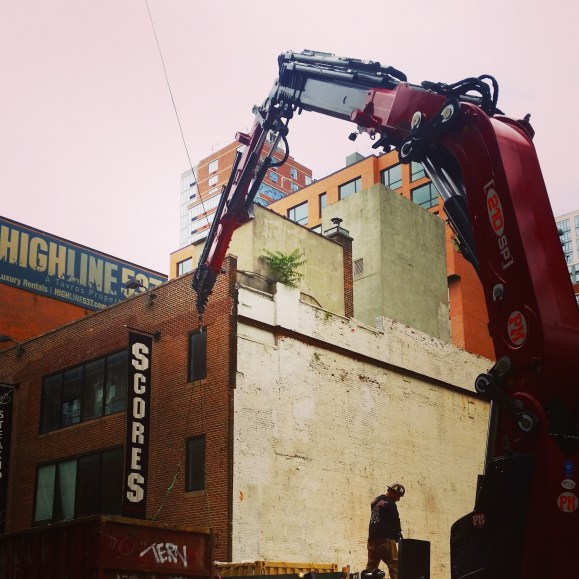 Ailanthus altissima - Tree of Heaven